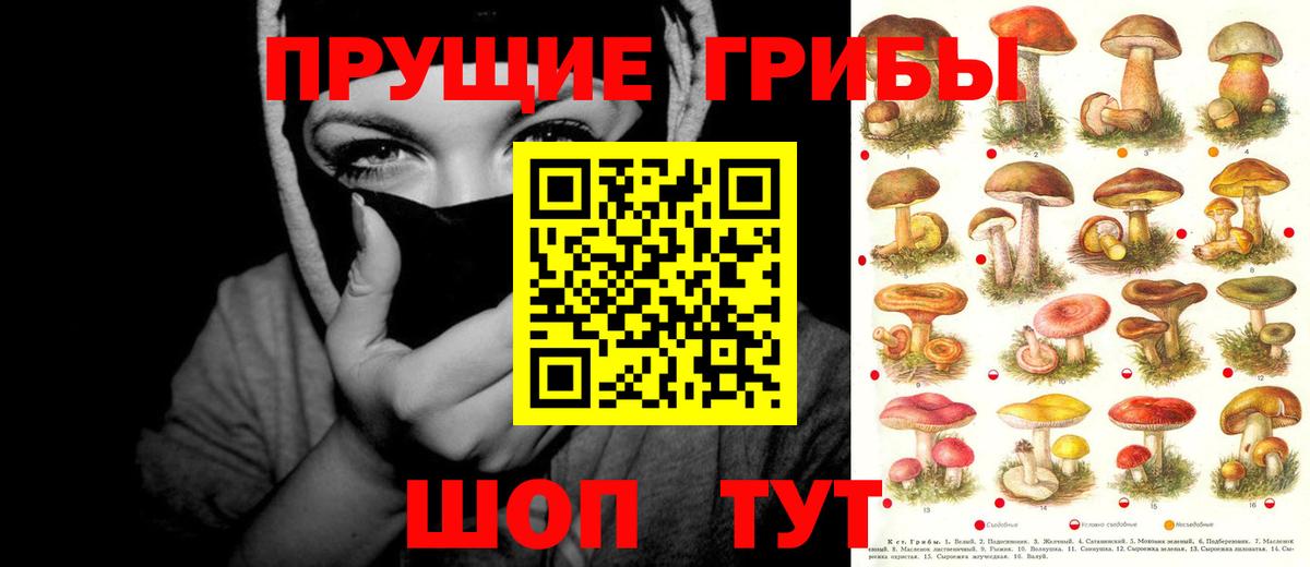 Псилоцибиновые грибы ЛСД  Галлюциногенные грибы прущие грибы  Ивантеевка  Вход с VPN 